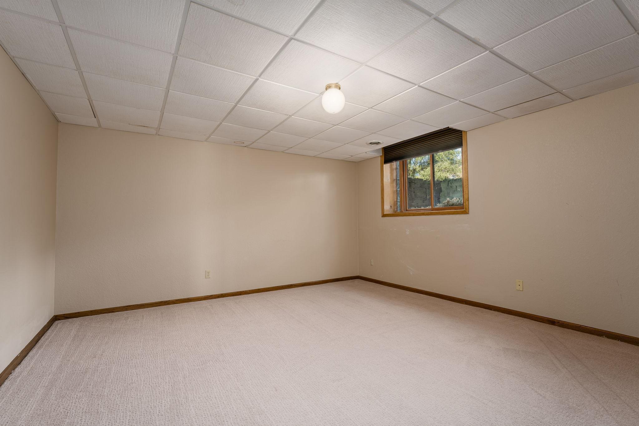 Lower level bedroom # 3 with egress window