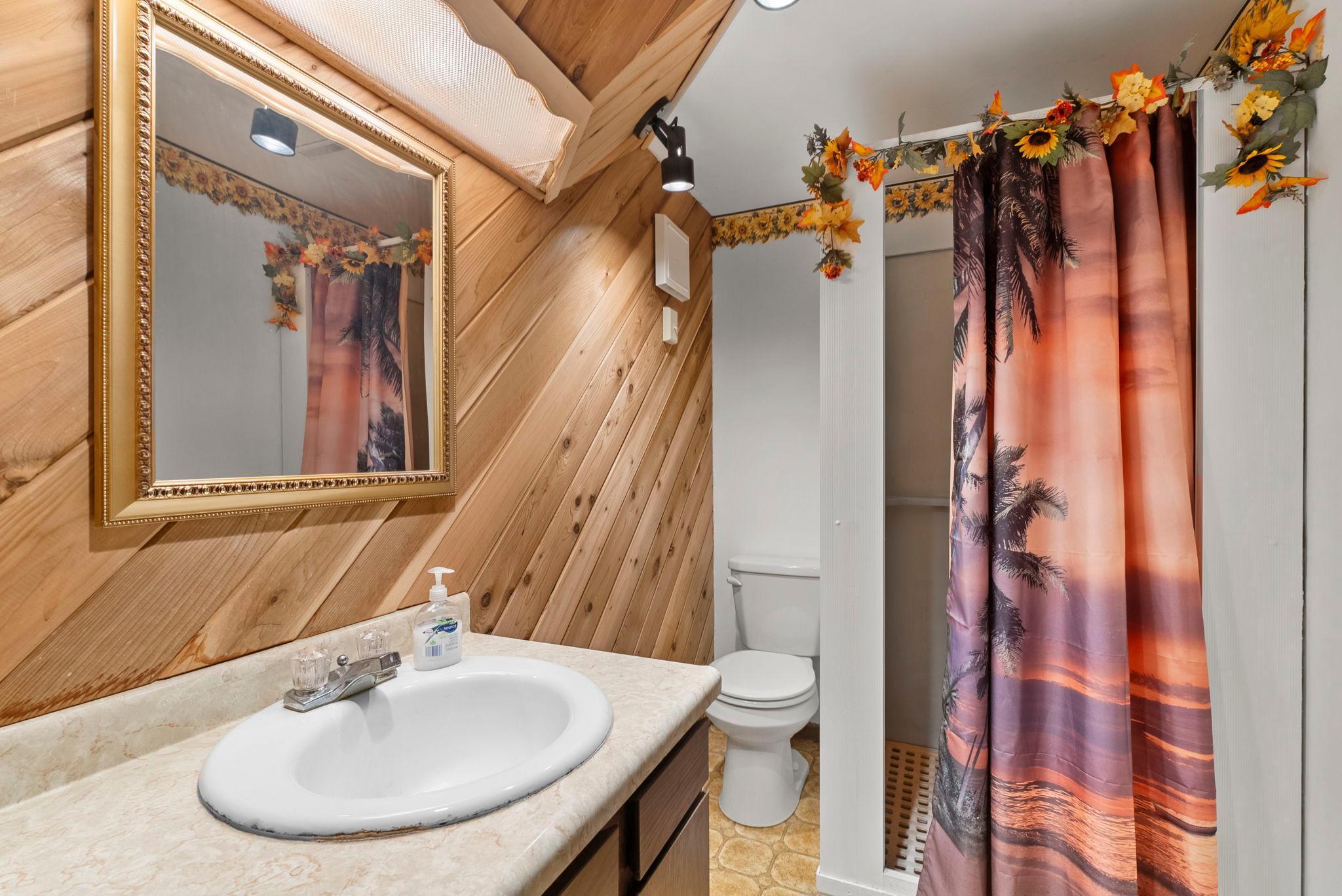 Lower level bathroom