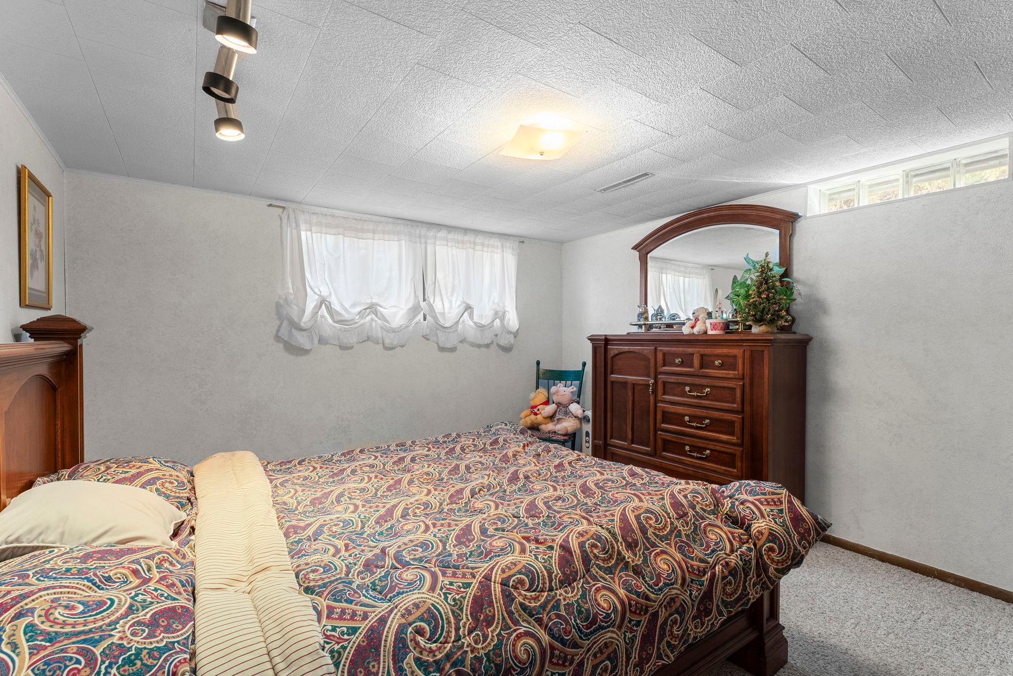 Lower level bedroom
