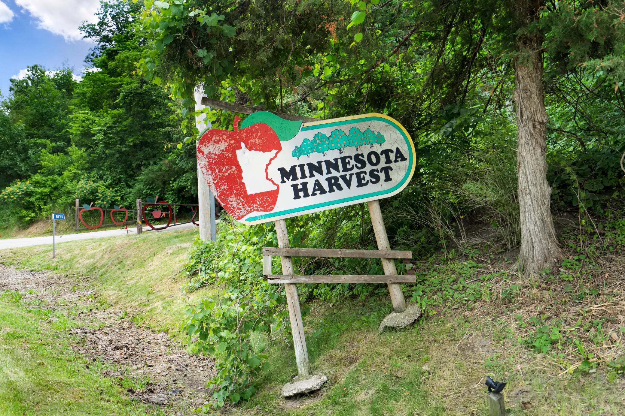 Apple orchard nearby