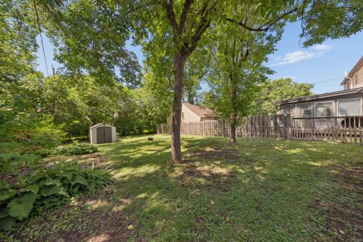 Large, shady backyard perfect for relaxing, grilling, and entertaining.