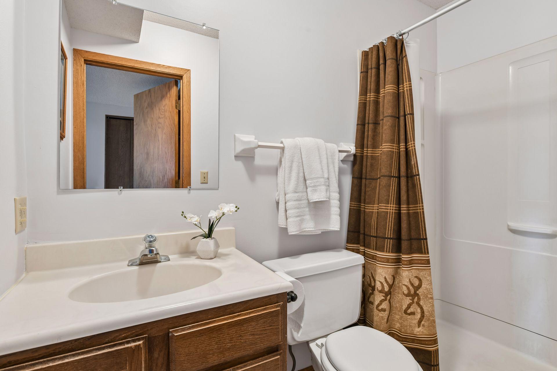 Lower level Bathroom with shower.