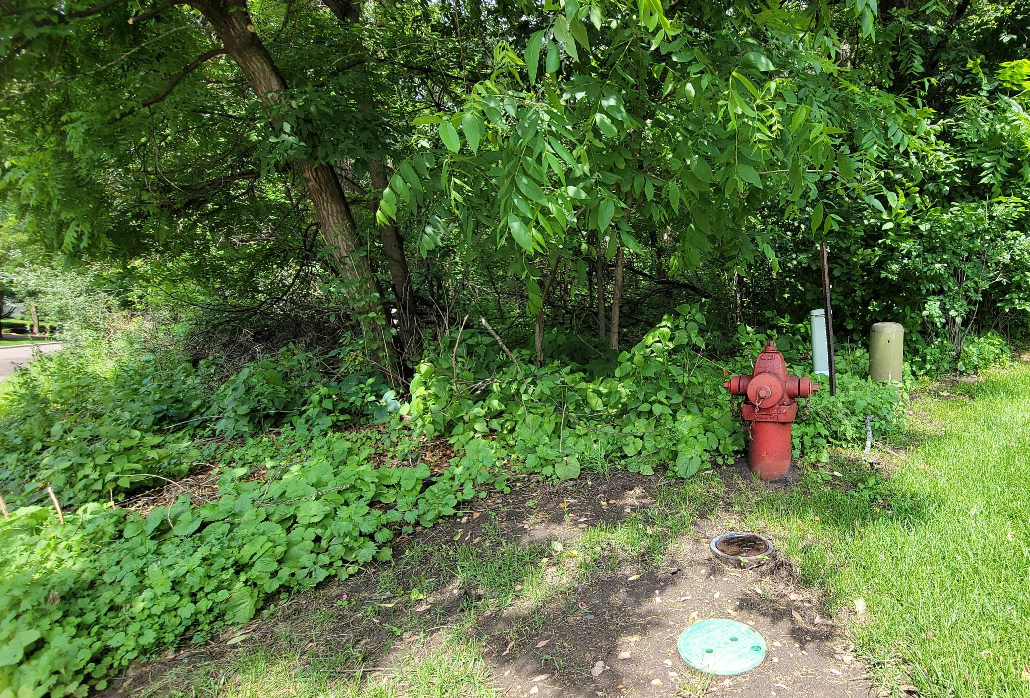 The fire hydrant is a close marker to the lot line.
