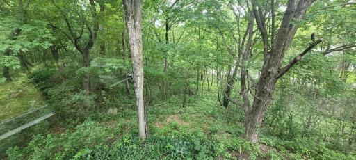 This natural lot has lovely mature trees and a forest feel.