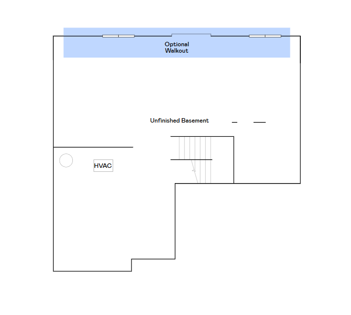 Lewis unfinished basement.