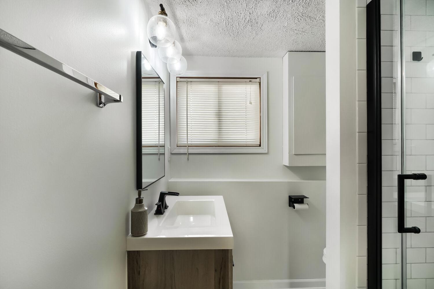 Lower Level Bathroom