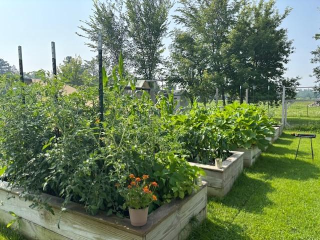 Gardeners Dream