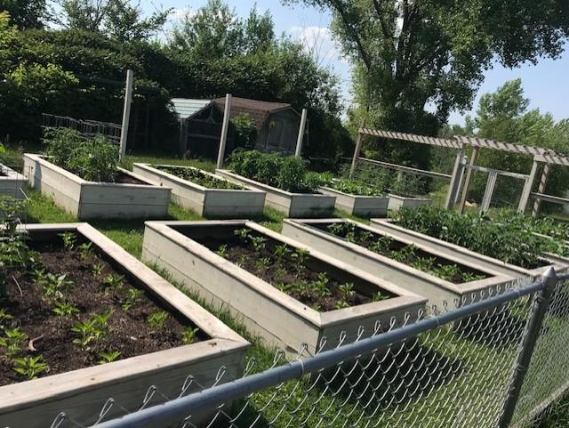 12 Planter beds