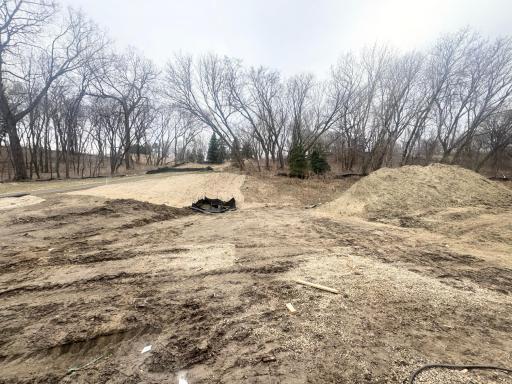 Progress photo of the actual backyard!