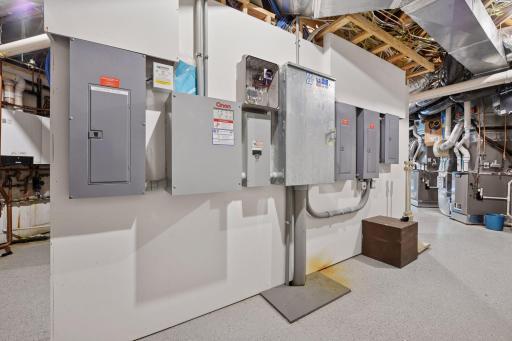Electrical area of mechanical room. First box is for an emergency generator for all necessary functions of home. Part of the magic of this home is all of the conveniences!