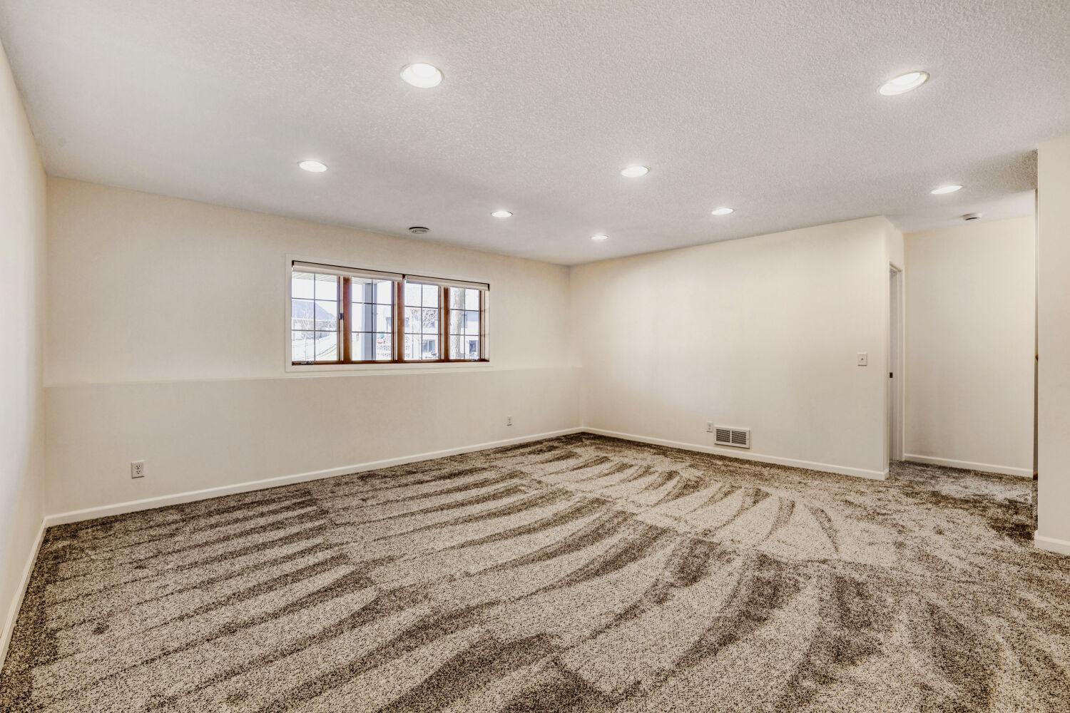 Lower Level family room with new carpet.