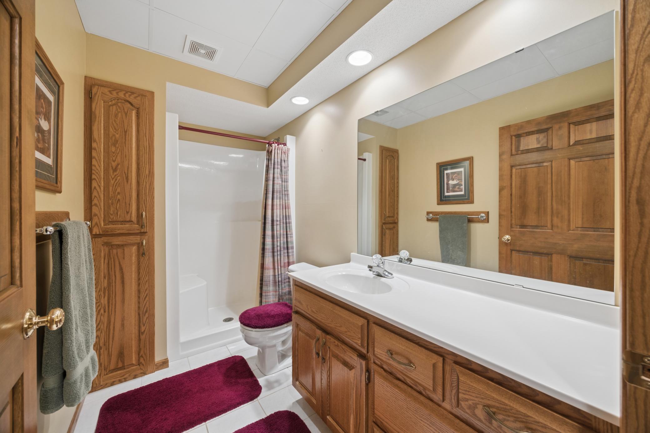 Lower level 3/4 bath