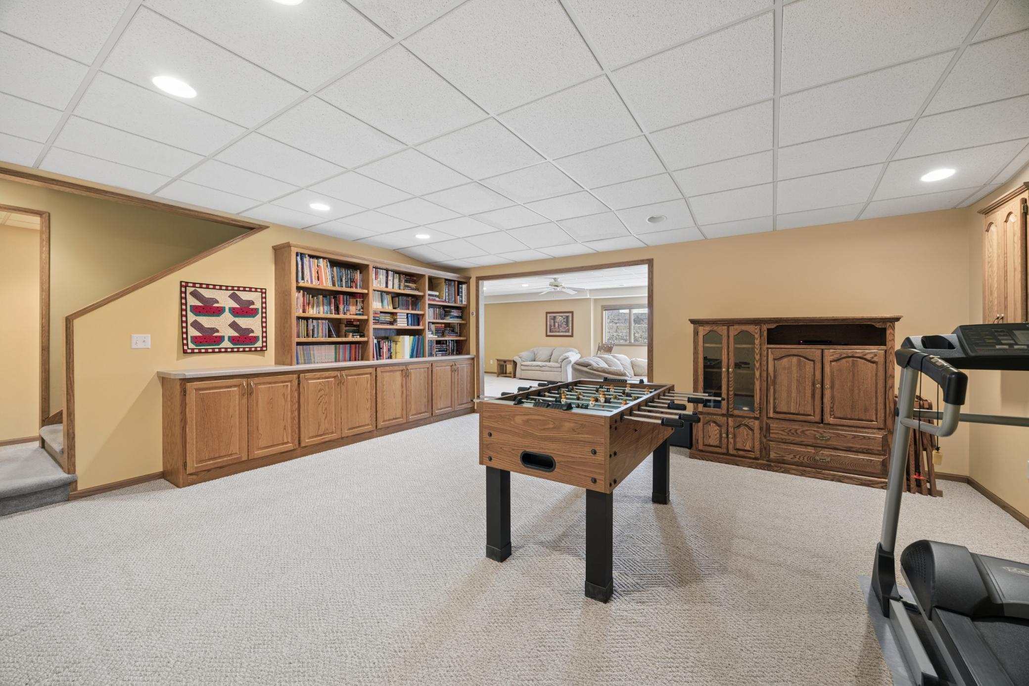 Lower level rec room
