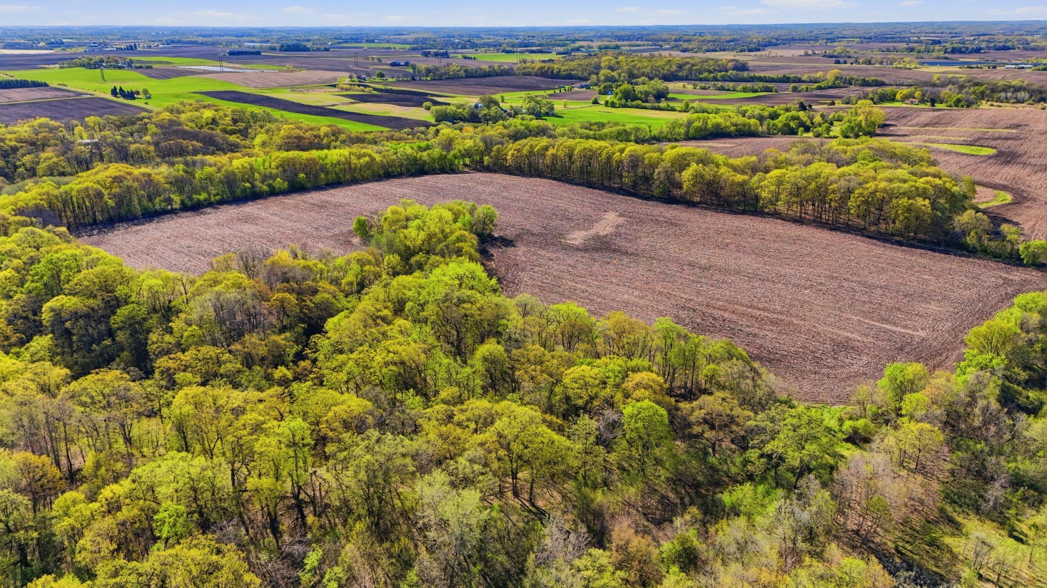 Great Property for hunting, an abundance of wildlife tracks