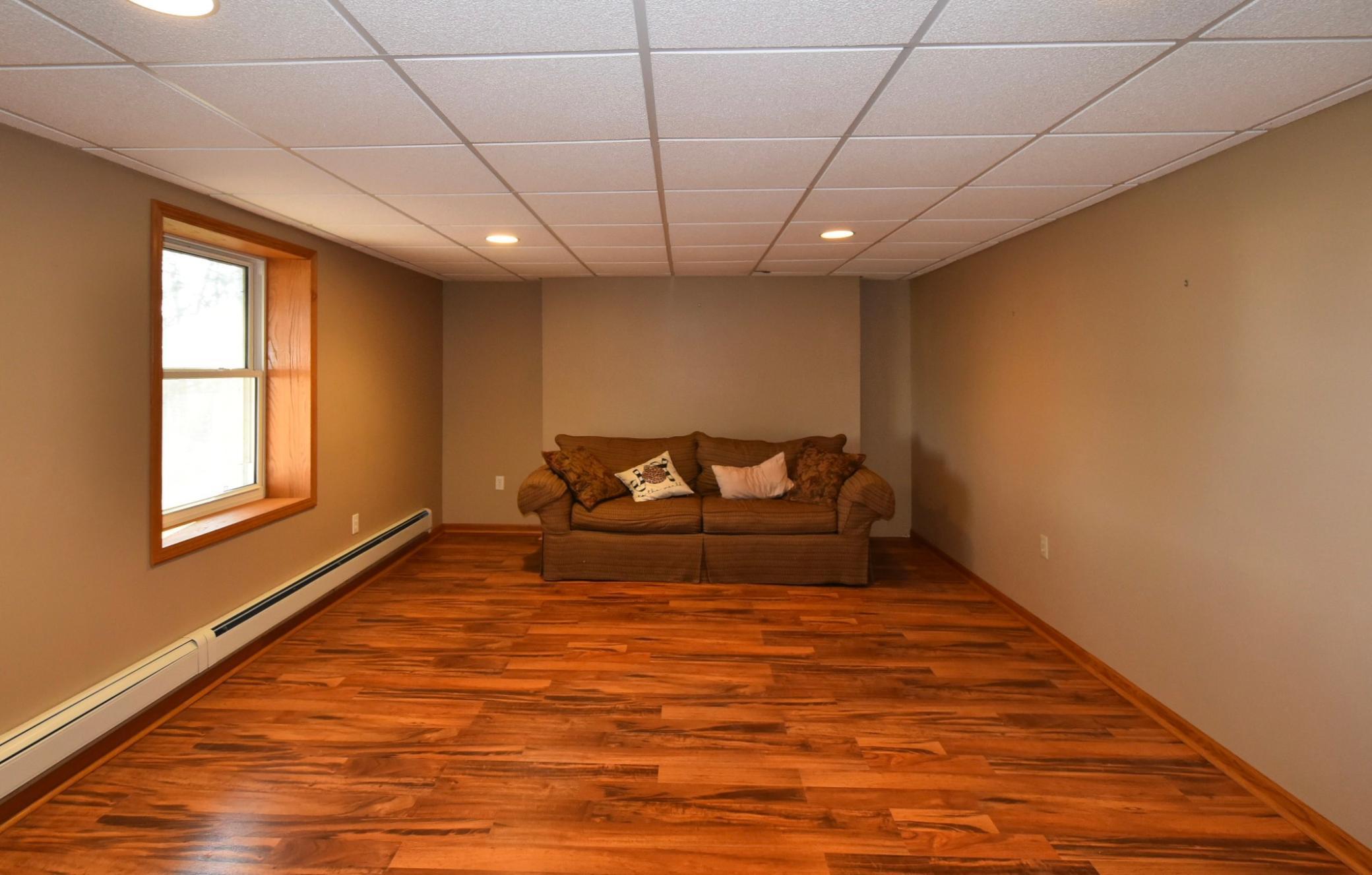 living room basement