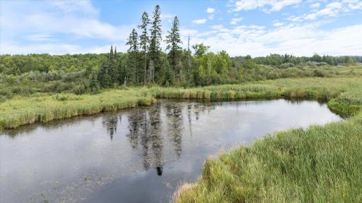 9401 Samuelson Road, Angora, MN 55703