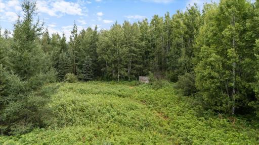 9401 Samuelson Road, Angora, MN 55703