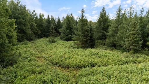 9401 Samuelson Road, Angora, MN 55703