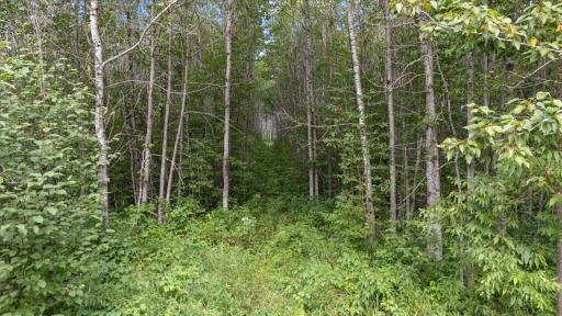 9401 Samuelson Road, Angora, MN 55703