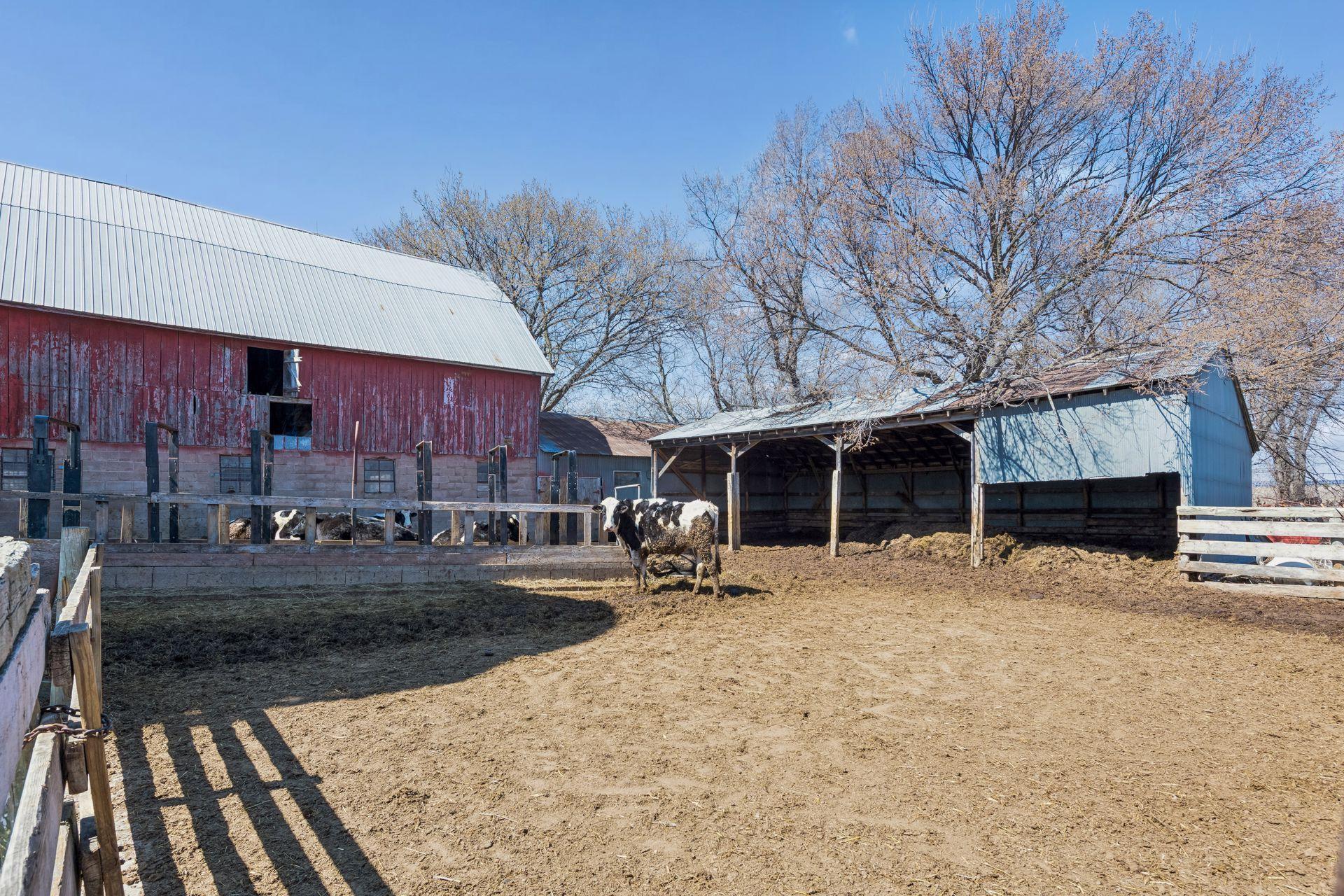 Two separated pasture areas for cattle - 0062.jpg