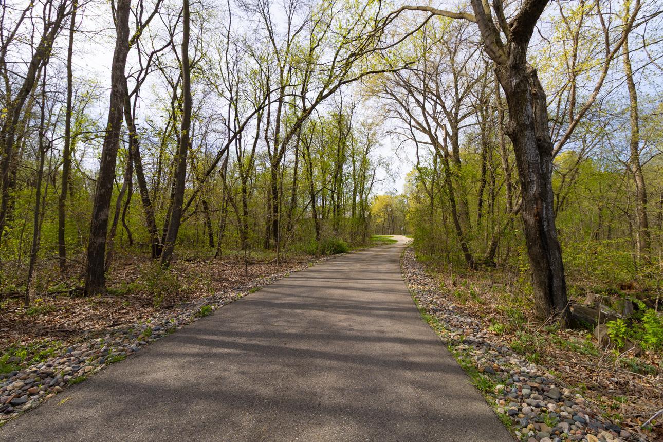 Scenic Drive Into the Property