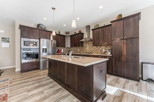 15672 Fairchild Way, Saint Paul, MN 55124