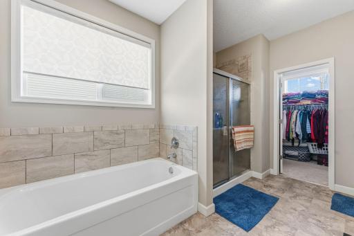 15672 Fairchild Way, Saint Paul, MN 55124
