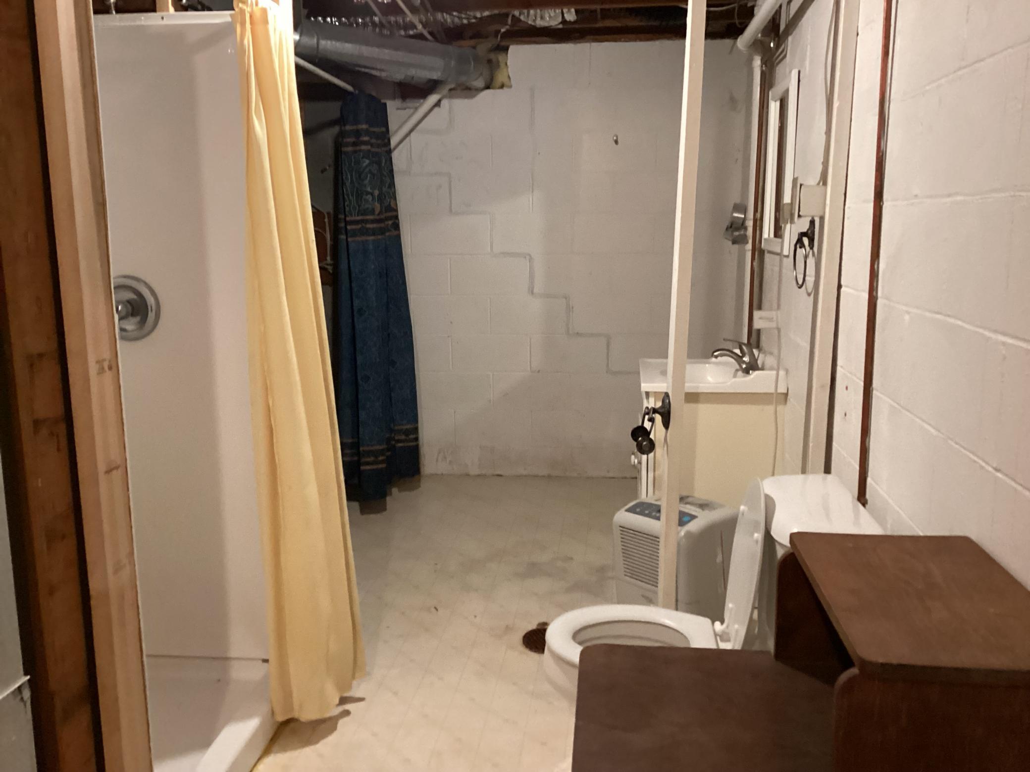 Lower Level Bathroom