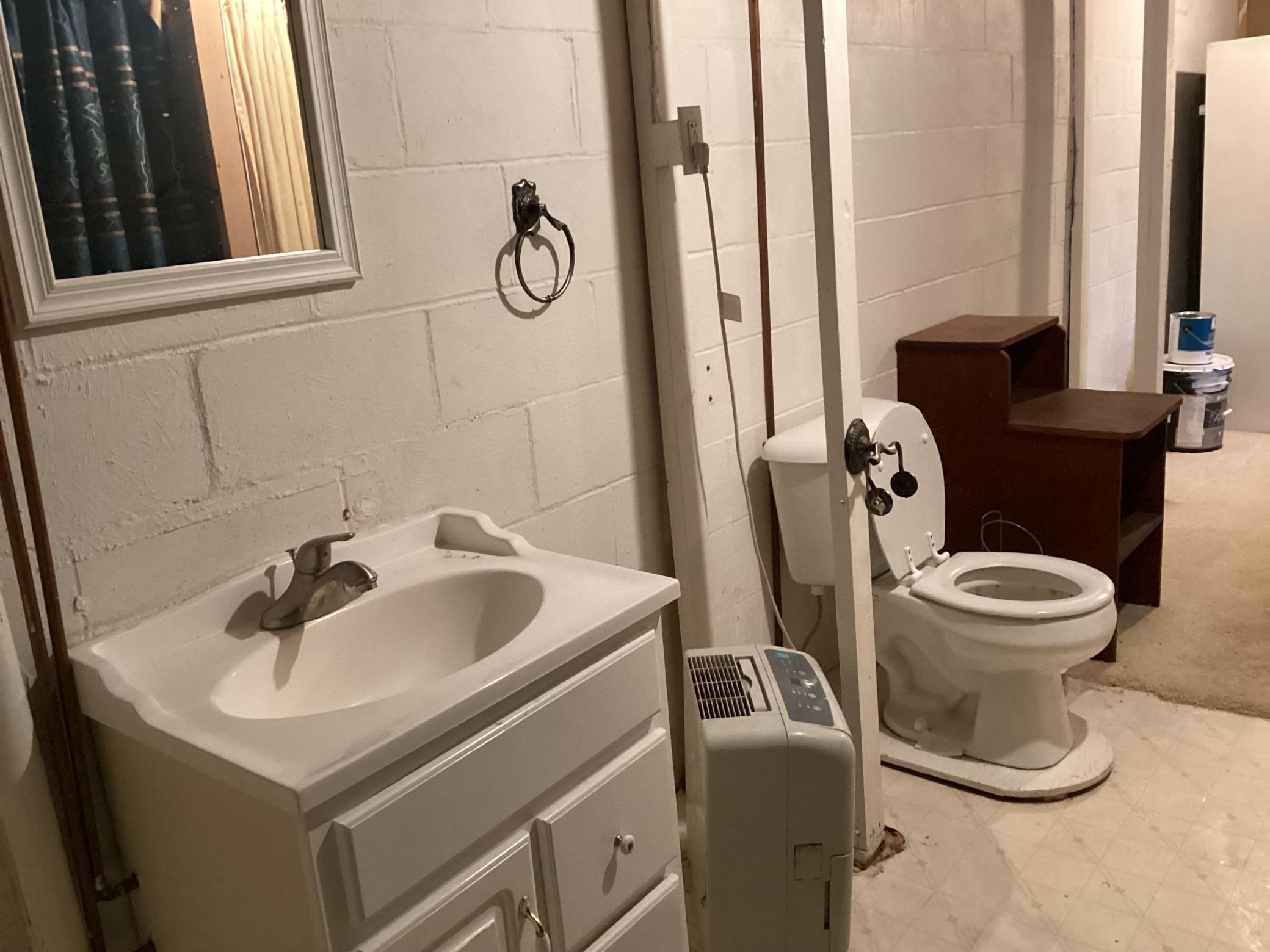 Lower Level Bathroom