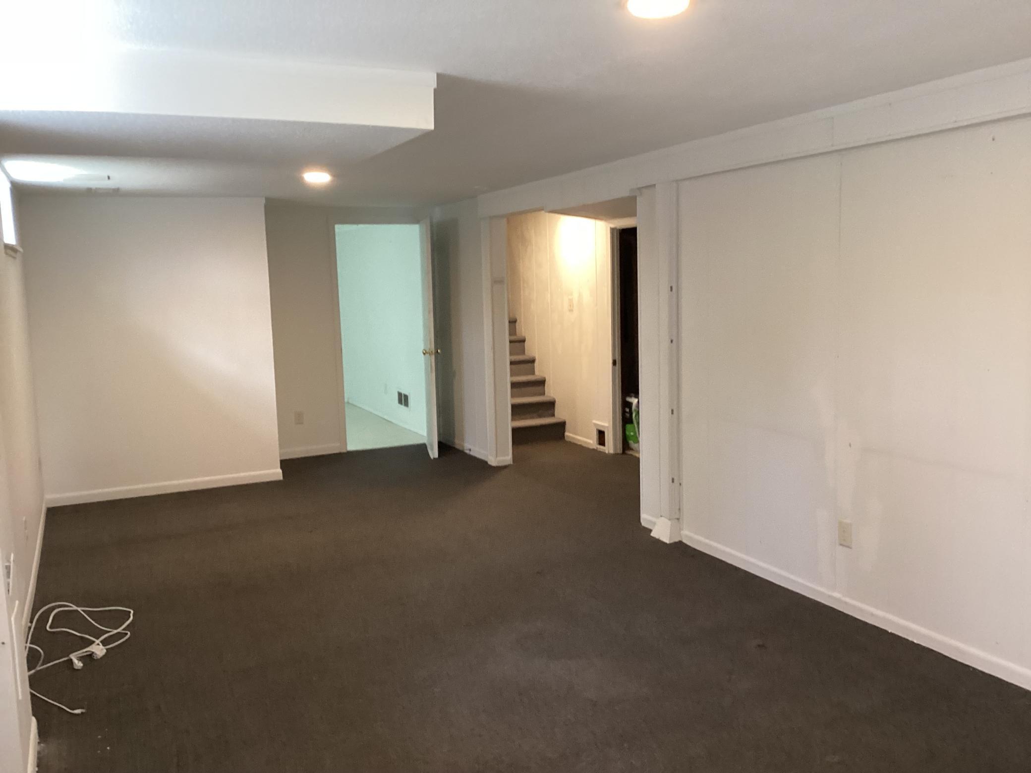 Lower Level Family Room