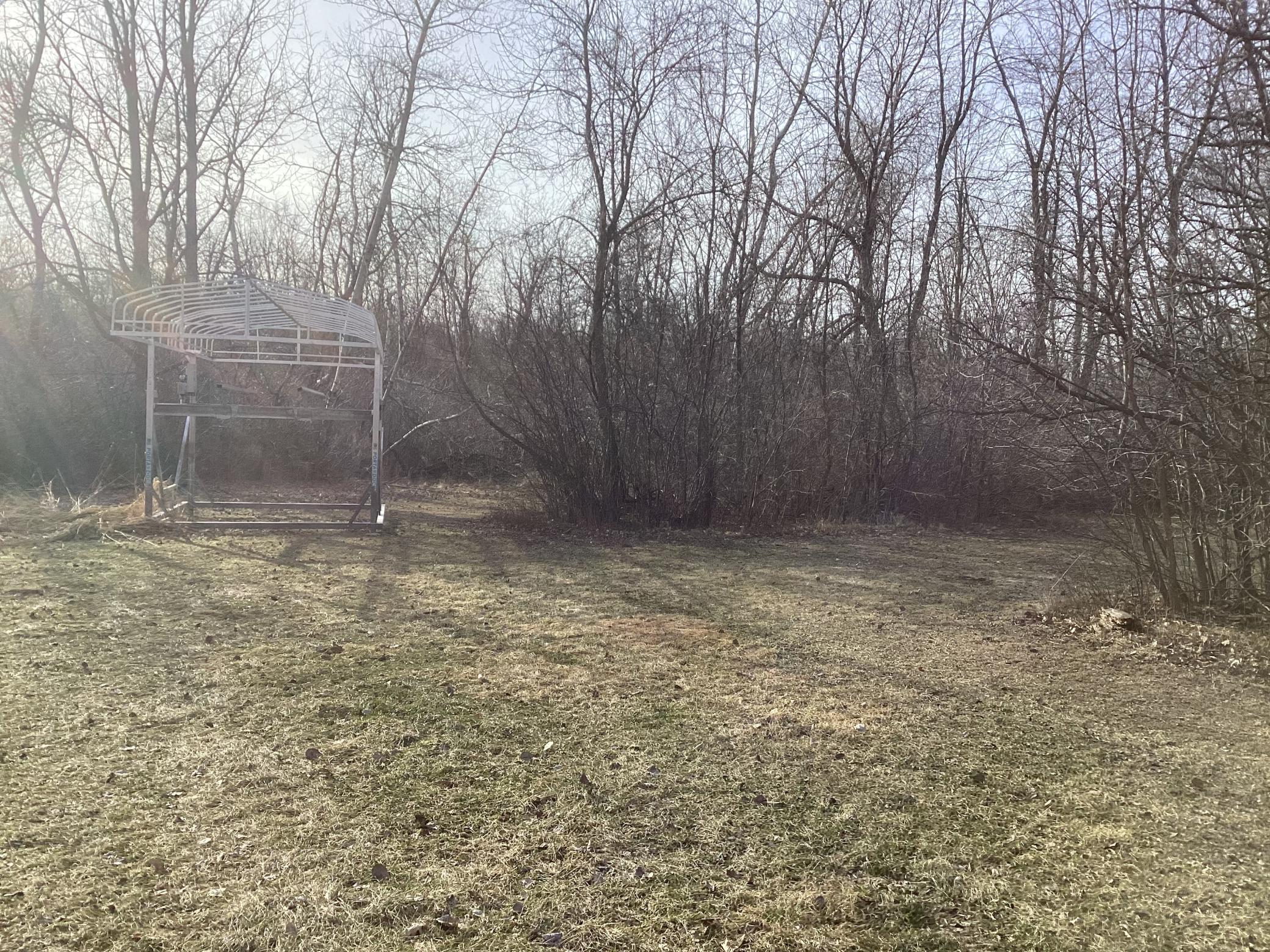 Looking west towards woods