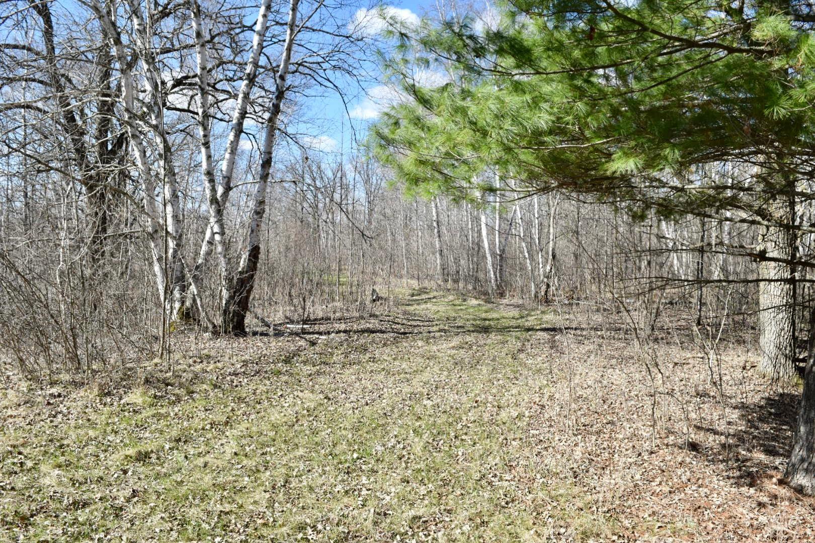 trails thru 37+ acres