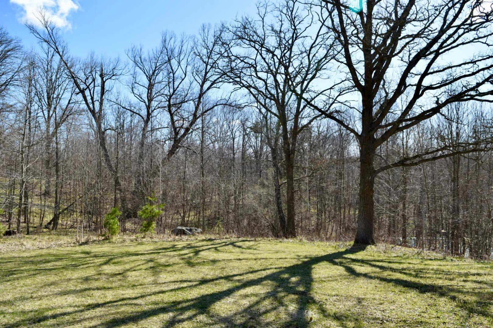 stand of oaks
