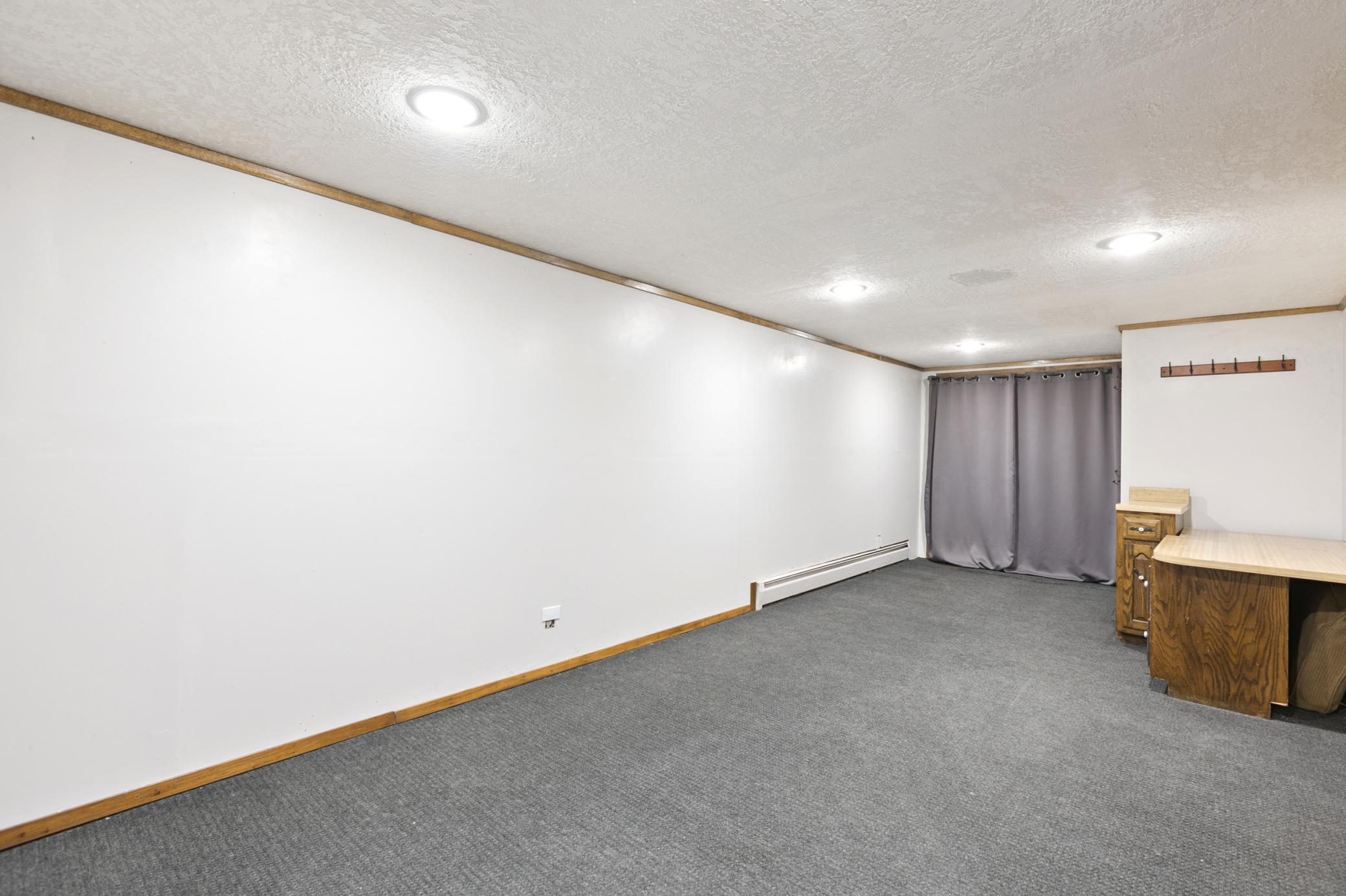 Flex Space- Lower Level