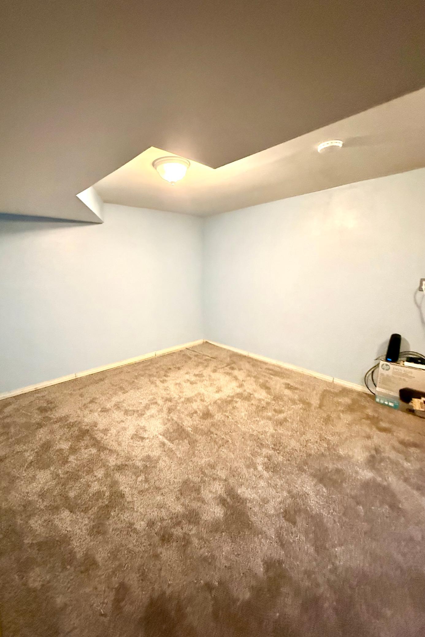 Lower Level Bedroom with Egress