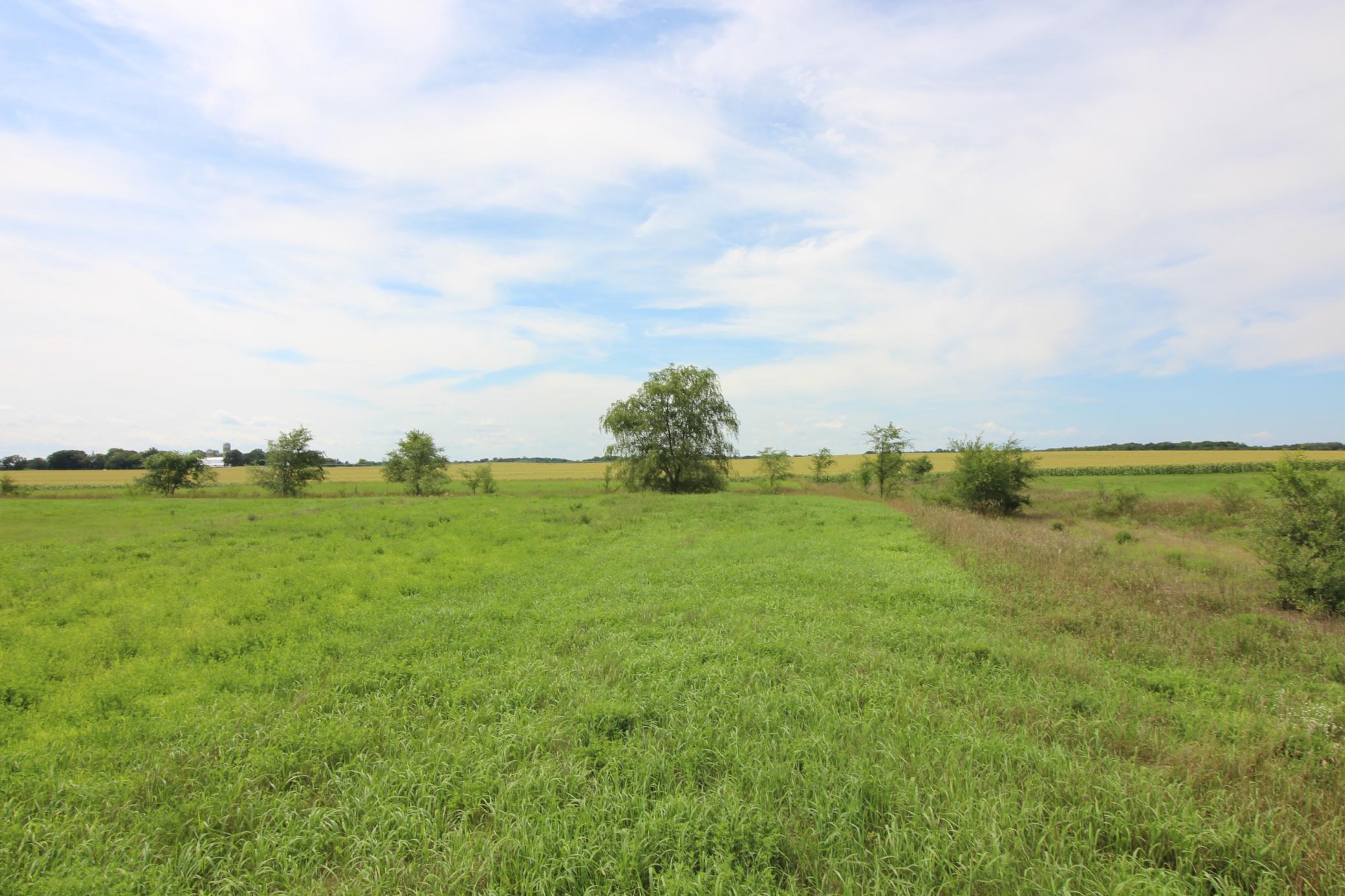 Middle section of the land.