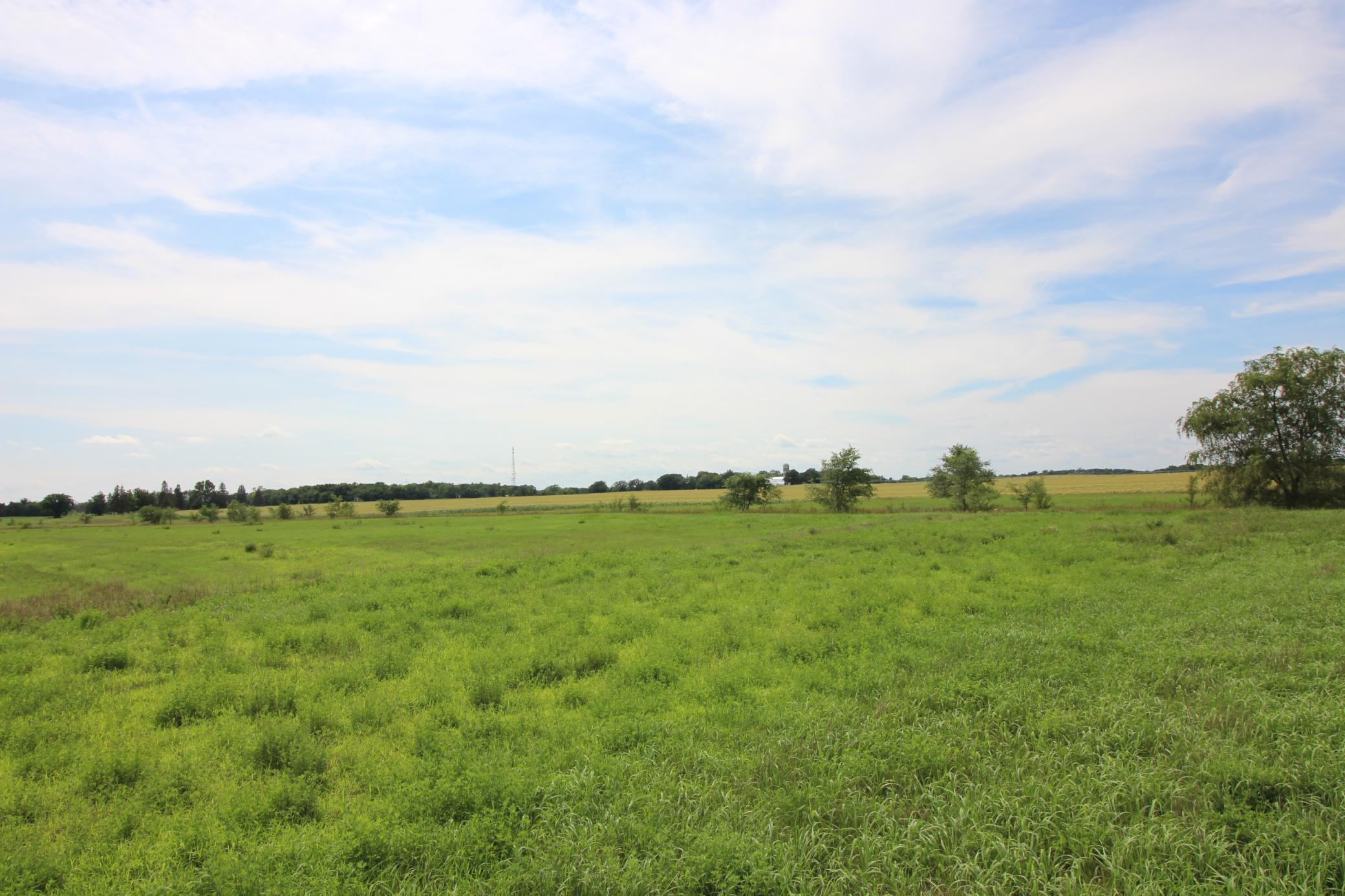 Side view of the development land.