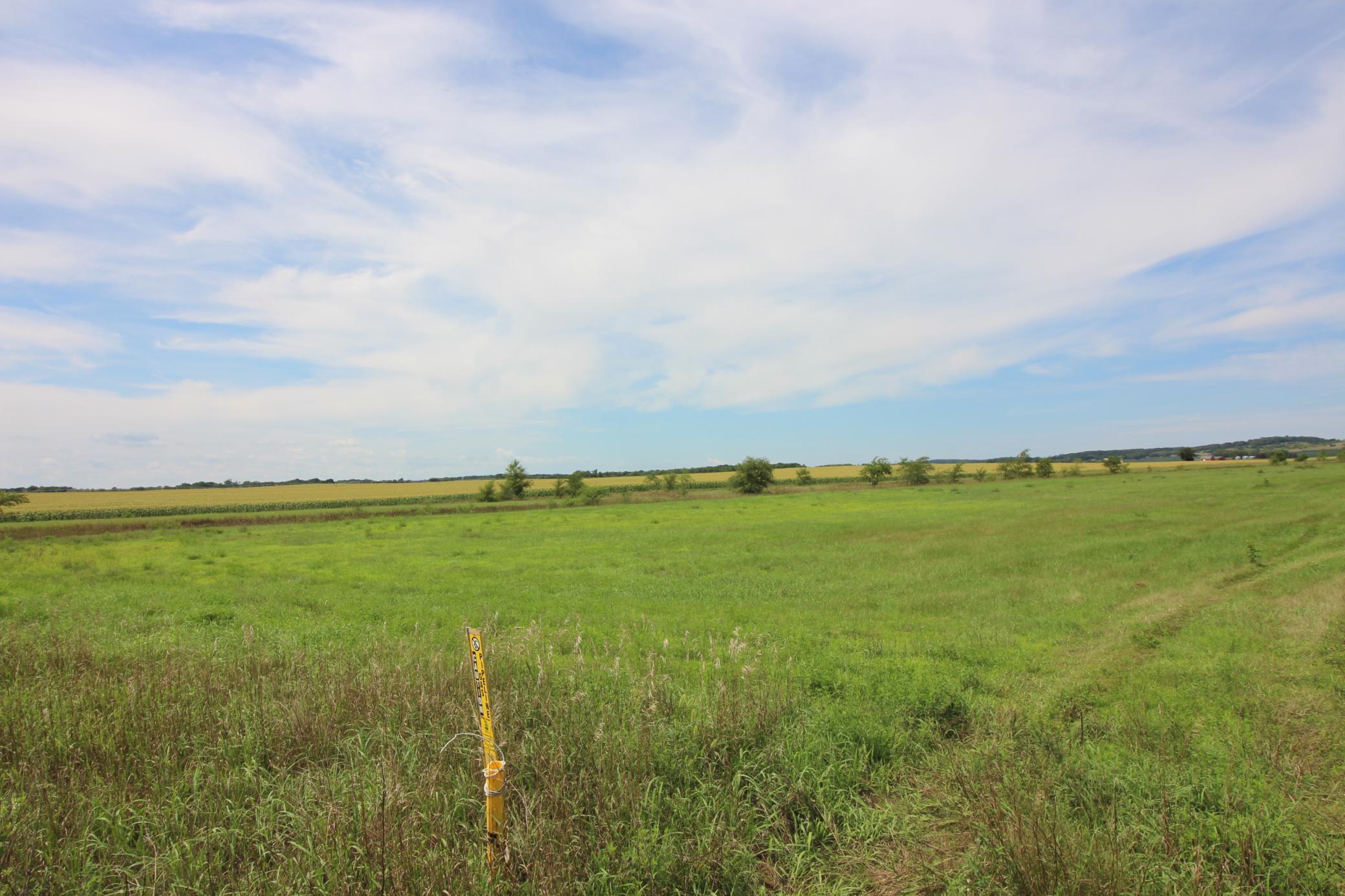 View in the middle part of the land.