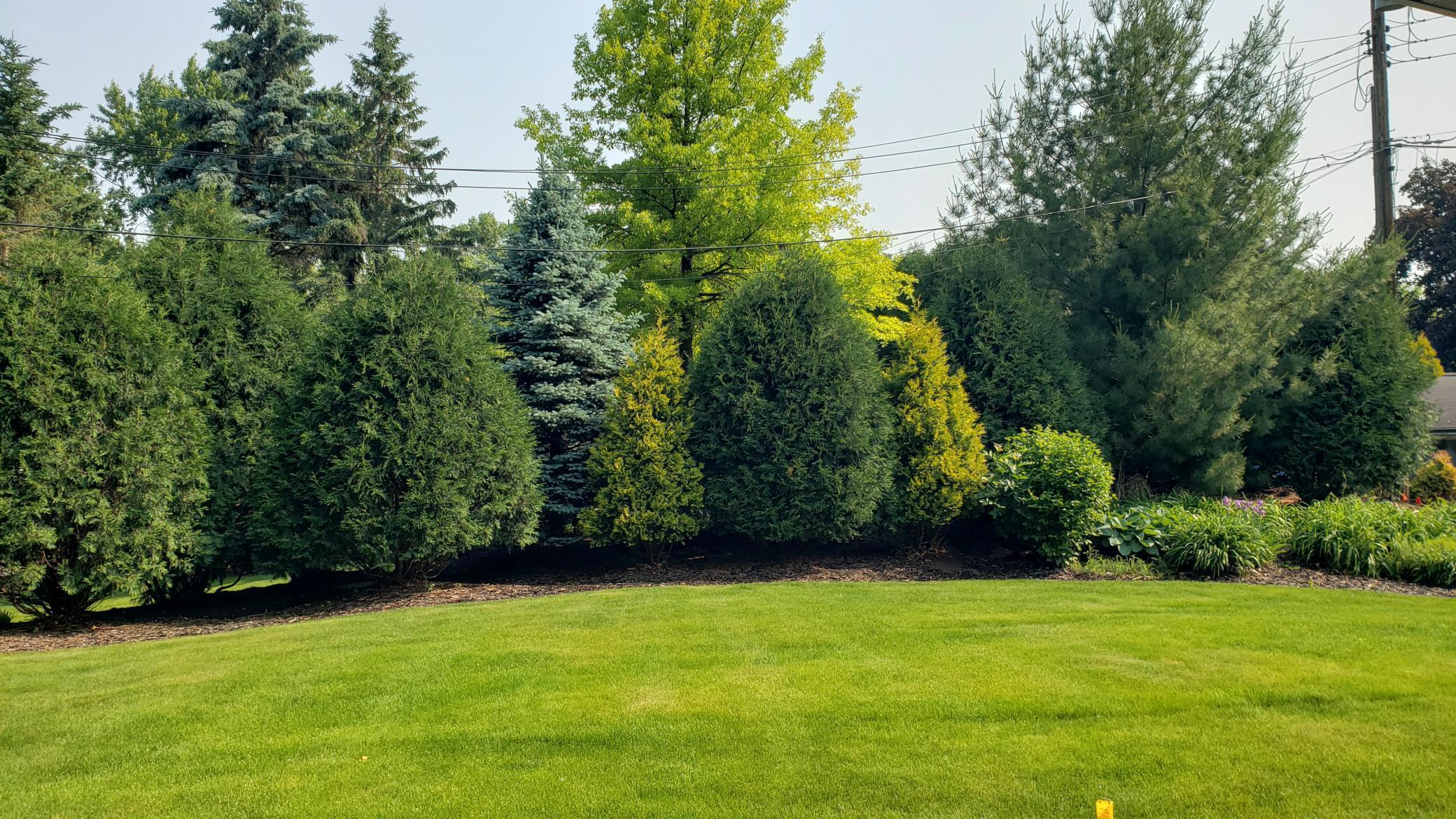 Professionally landscaped, private backyard.
