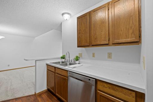 1102 Black Oak Drive, Saint Paul, MN 55112