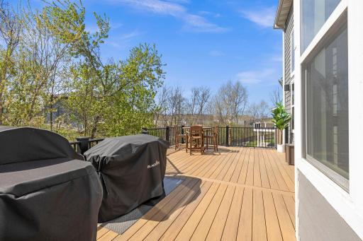 16725 56th Avenue N, Minneapolis, MN 55446