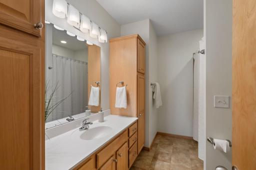 208 E Lake Street, Waconia, MN 55387