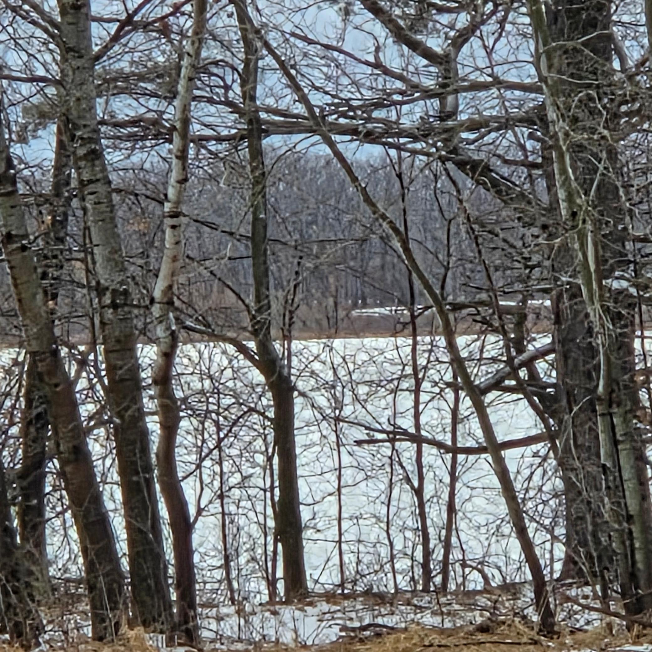 Corresponding lake views