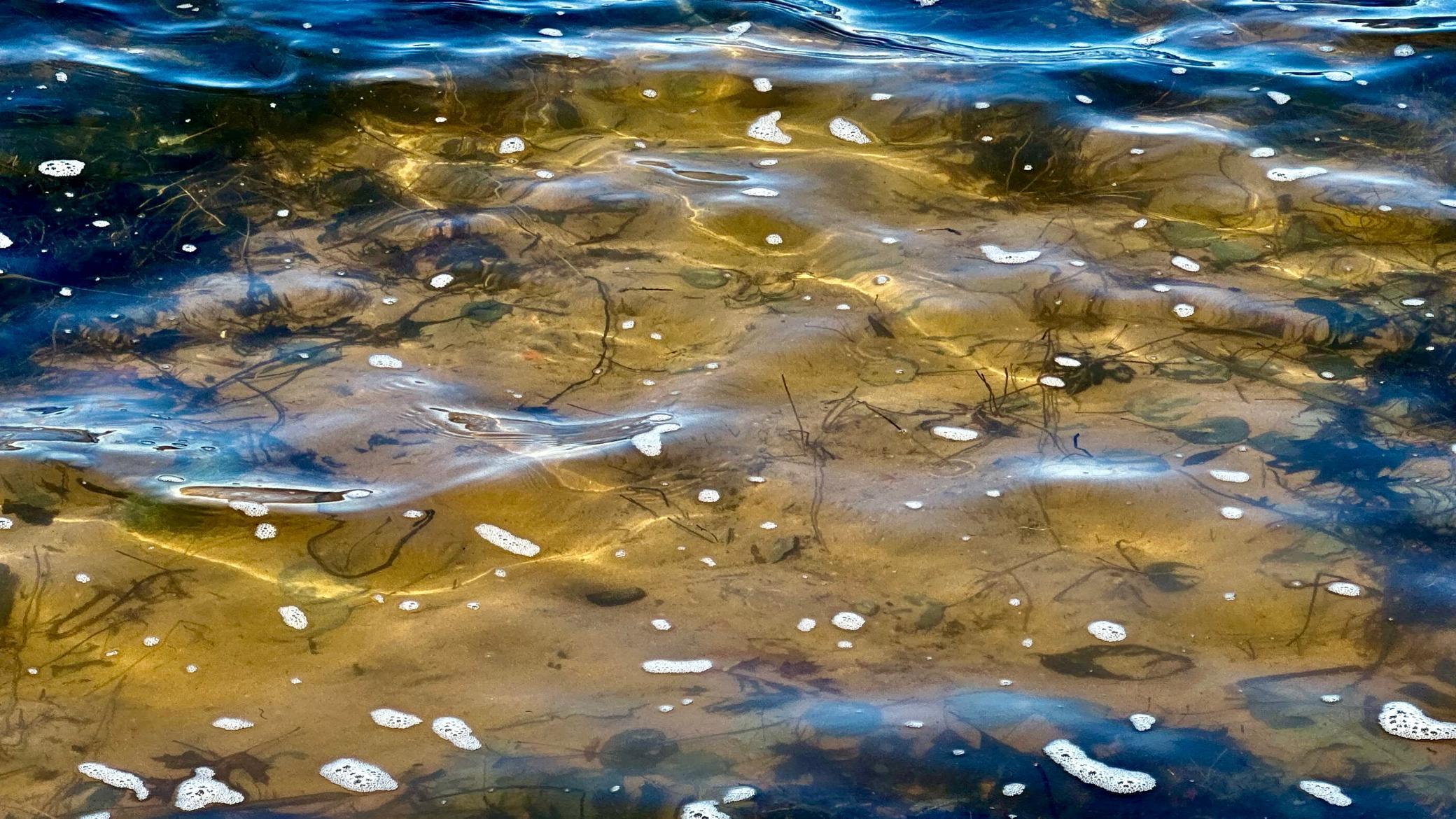 Sandy lake bottom.jpg