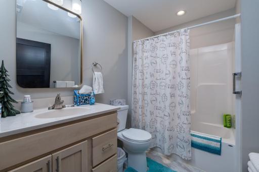 220 Maple Avenue SW, Elysian, MN 56028