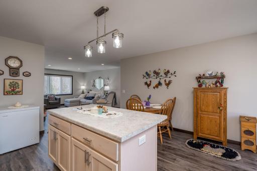 220 Maple Avenue SW, Elysian, MN 56028