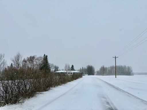 Long private drive with lilac shrubs
