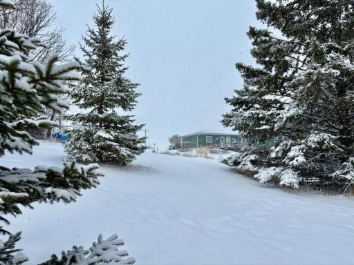 Beautifully sloped mature yard