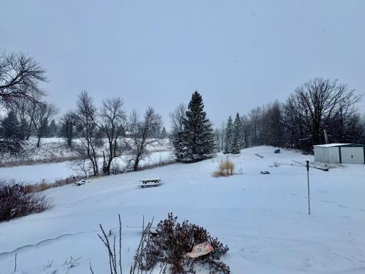 Back yard from house