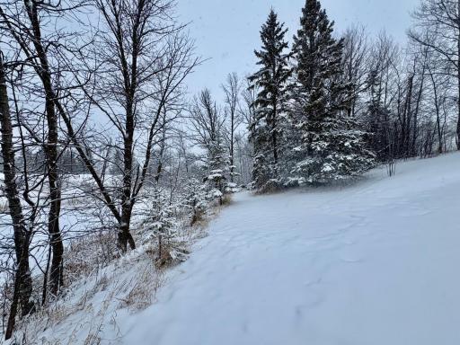 Over 800 feet of Kelly Creek frontage